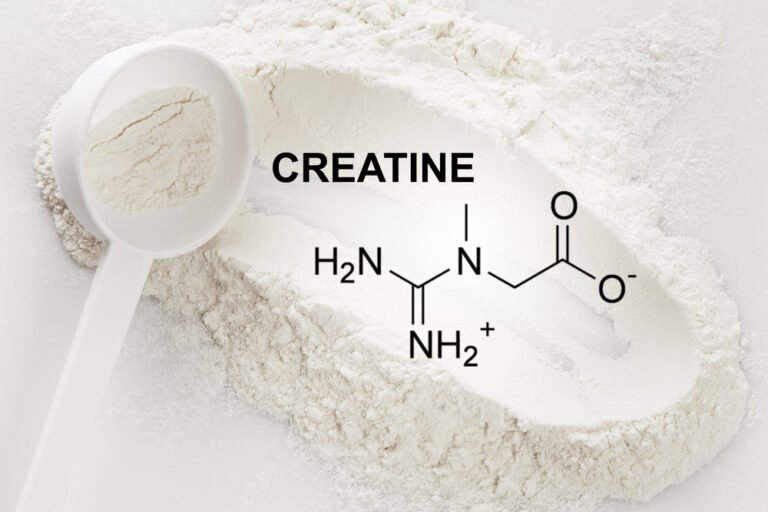 Creatine Monohydrate for Bodybuilders