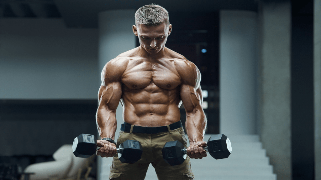 Best BCAA Supplements for Bodybuilding