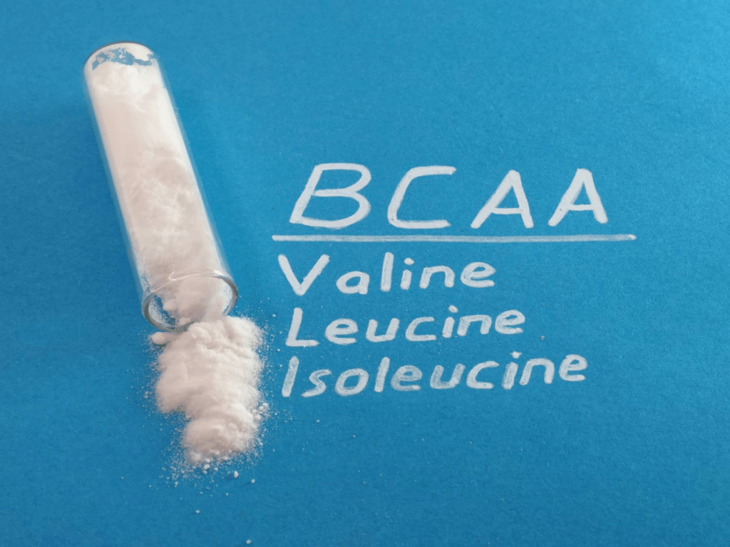 Best BCAA Supplements for Bodybuilding