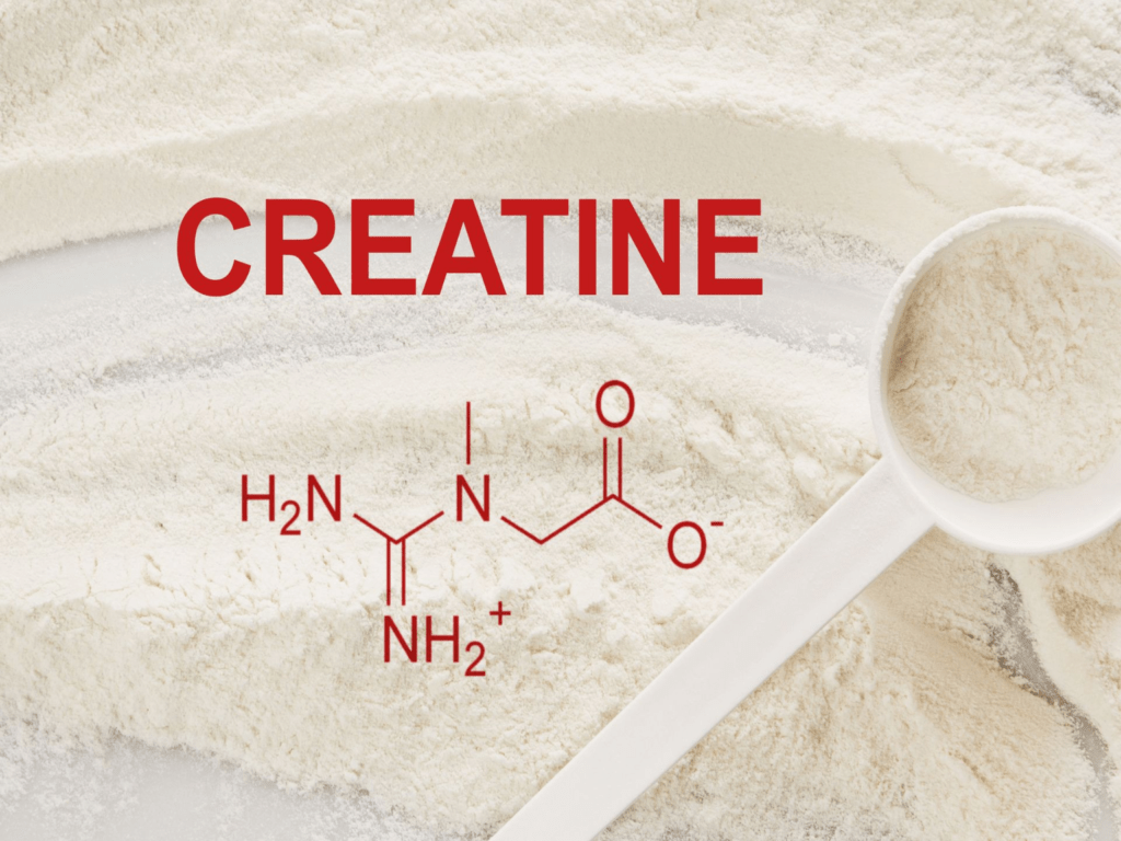 Best Creatine Monohydrate for Bodybuilders