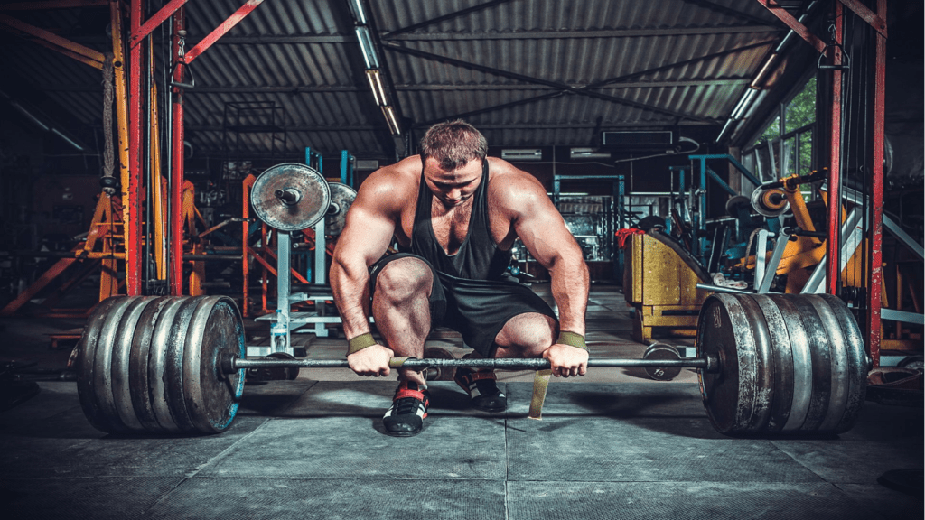 Best Creatine Monohydrate for Bodybuilders