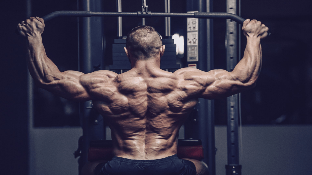 4 Must-Have Whey Protein Supplements